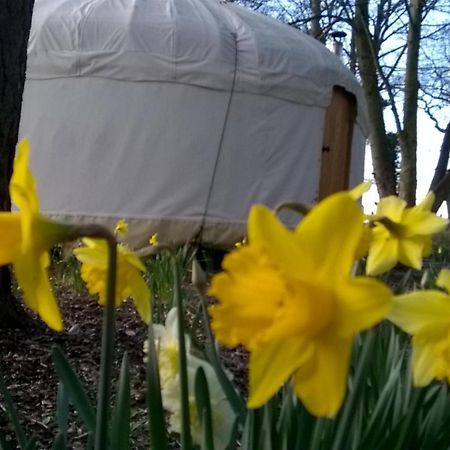 Gingerbread Cottage Yurts 东德勒翰 外观 照片