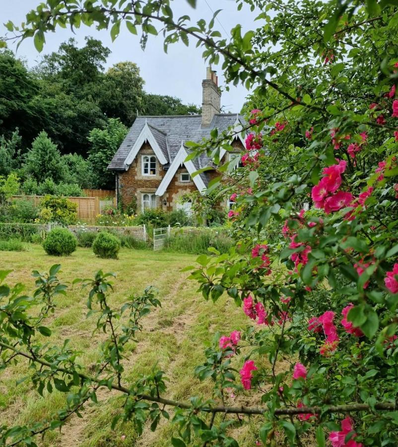 Gingerbread Cottage Yurts 东德勒翰 外观 照片