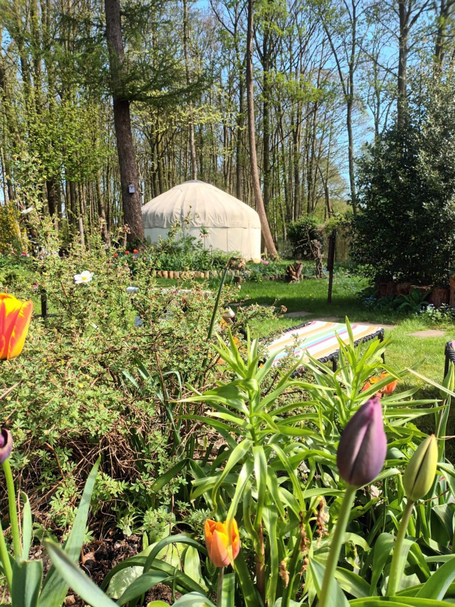 Gingerbread Cottage Yurts 东德勒翰 外观 照片