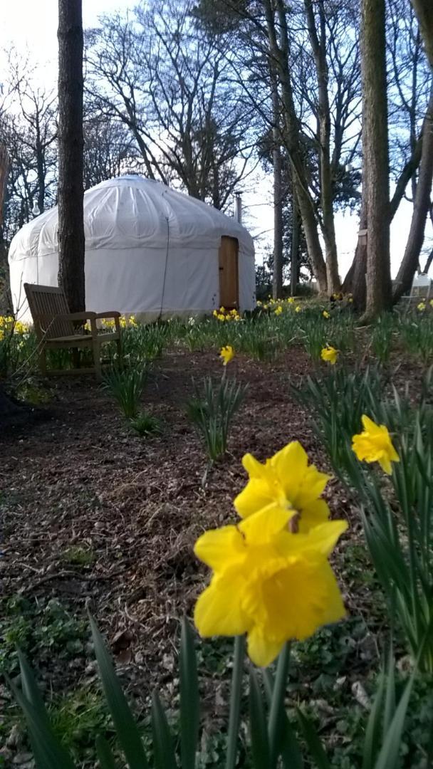 Gingerbread Cottage Yurts 东德勒翰 外观 照片