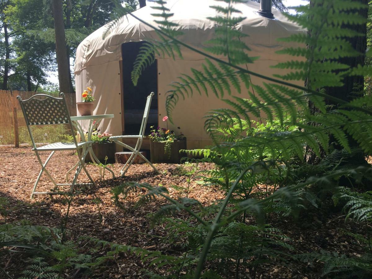 Gingerbread Cottage Yurts 东德勒翰 外观 照片