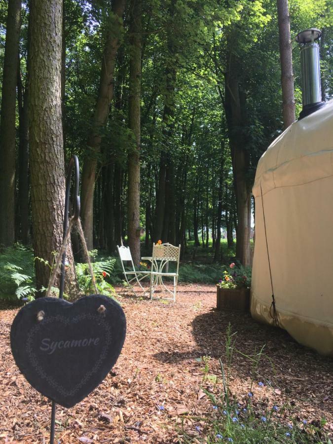 Gingerbread Cottage Yurts 东德勒翰 外观 照片