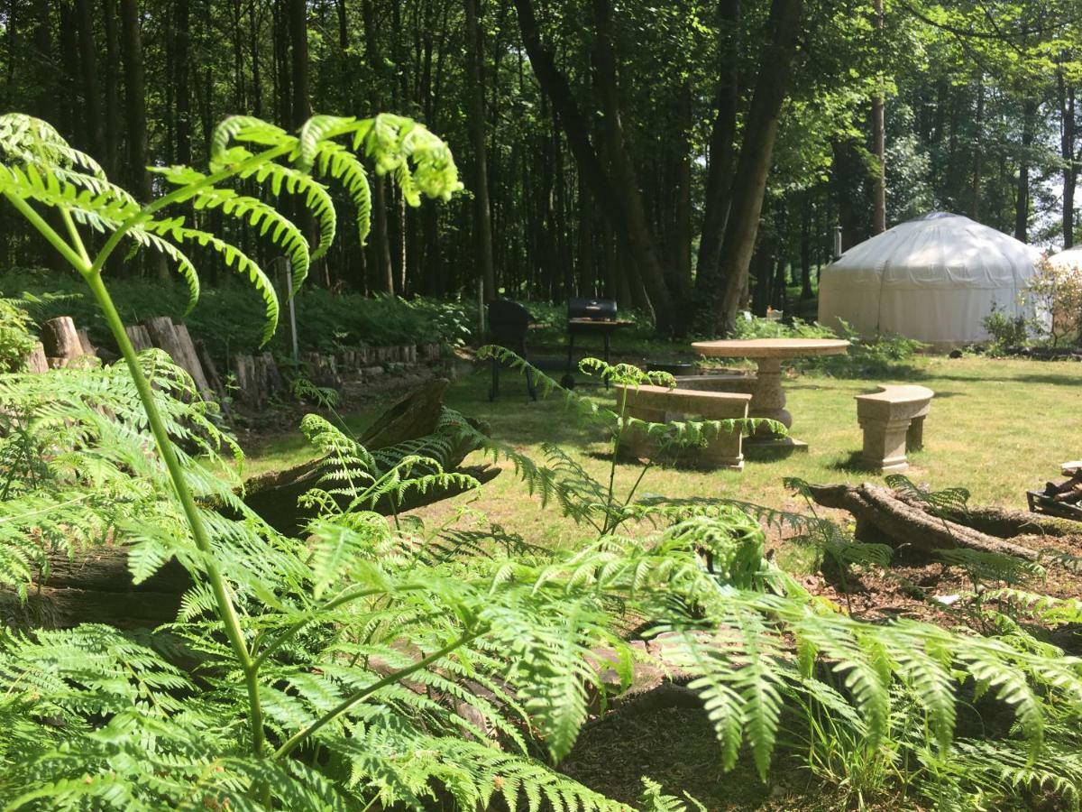 Gingerbread Cottage Yurts 东德勒翰 外观 照片