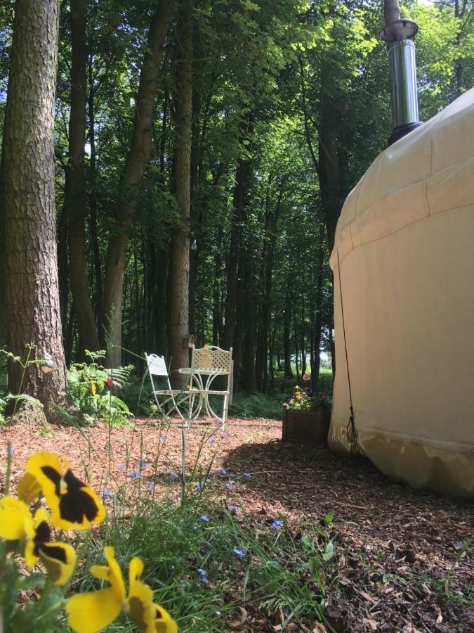 Gingerbread Cottage Yurts 东德勒翰 外观 照片